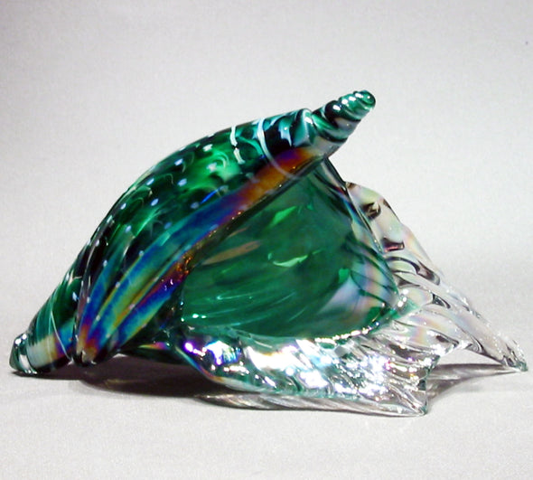 Sea Shell - Kevin Fulton Glass